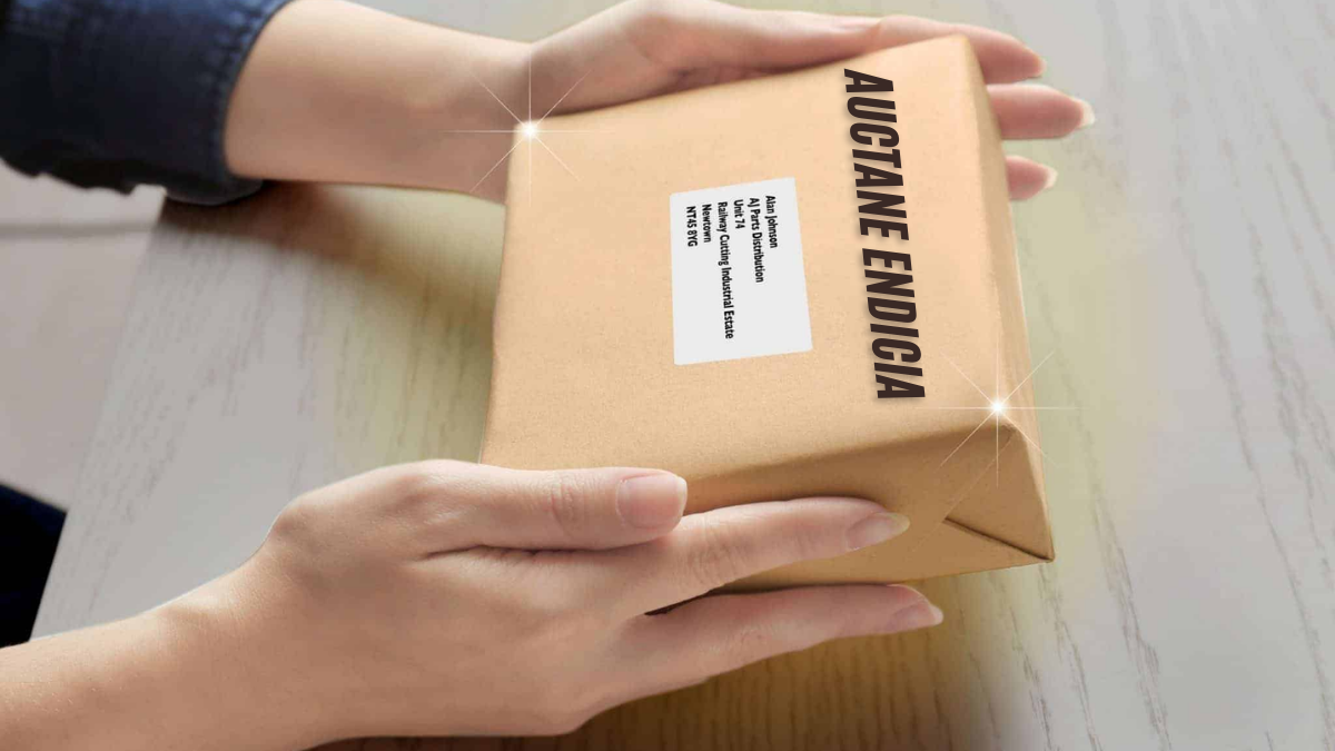 Auctane Endicia Streamlining Your Shipping and Postage Solutions latest guide 2025